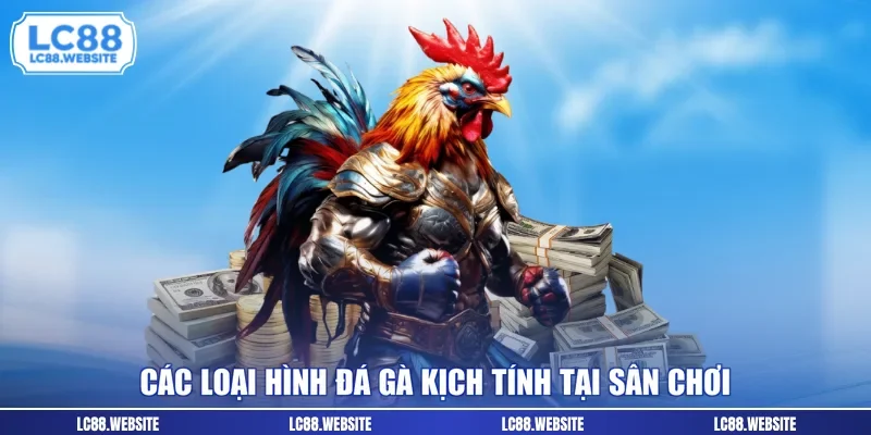 Các loại hình đá gà kịch tính tại sân chơi