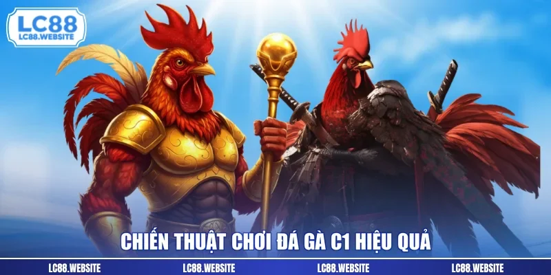 Chiến thuật chơi đá gà C1 hiệu quả