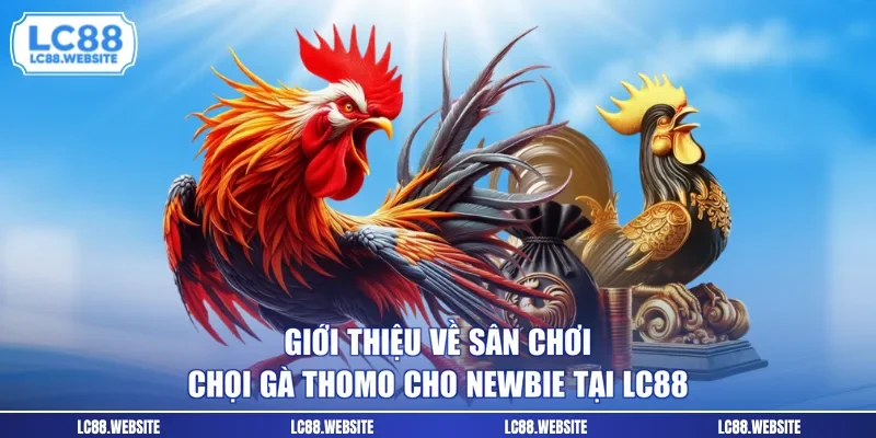 Giới thiệu về sân chơi chọi gà Thomo cho newbie tại LC88