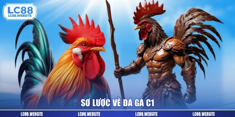Sơ lược về đá gà c1